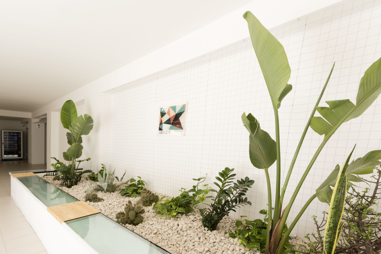 Room 3, Visitsicilia Vasile 9 - 5, Trapani
