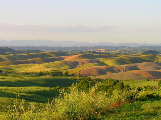 Others 2, Farmhouse in Pisan Hills With Pool, Pisa