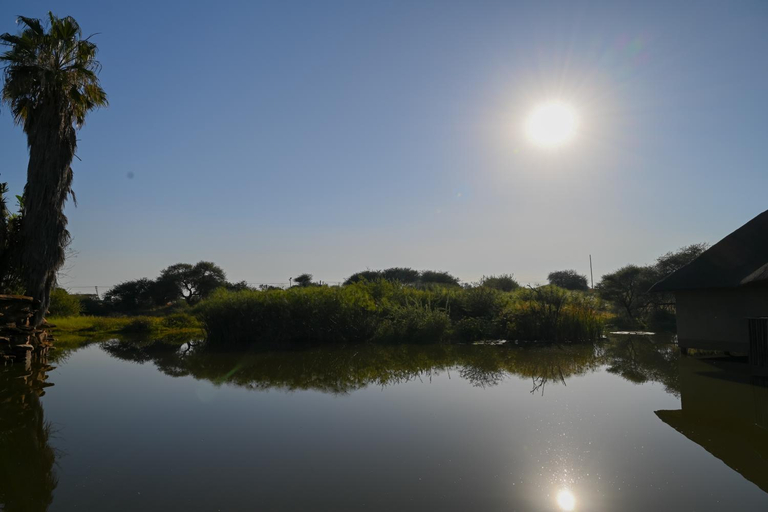 Others 5, Pioneer lodge, Waterberg