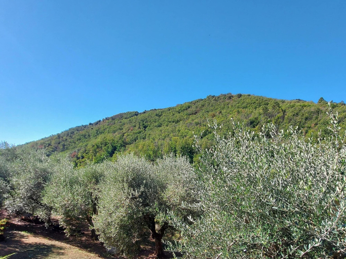 View from property 3, Holiday Home in Tuscany Near Lucca, Lucca