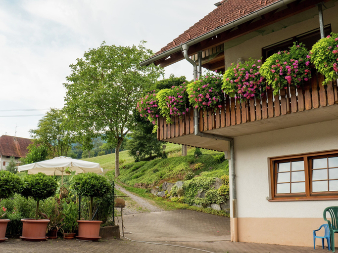 Charming Apartment in Regelsbach near City Centre, Ortenaukreis