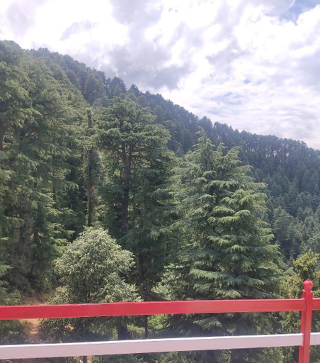 Others 4, Hotel Nature Joint, Chamba