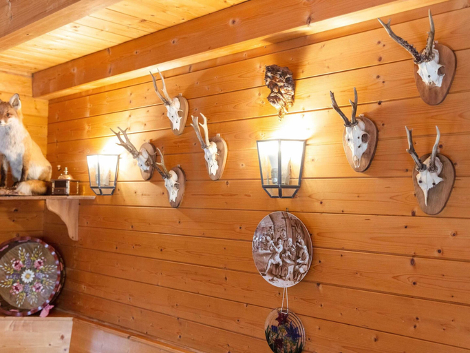 Others 4, Chalet in Hinterrod Thuringen mit Sauna, Hildburghausen