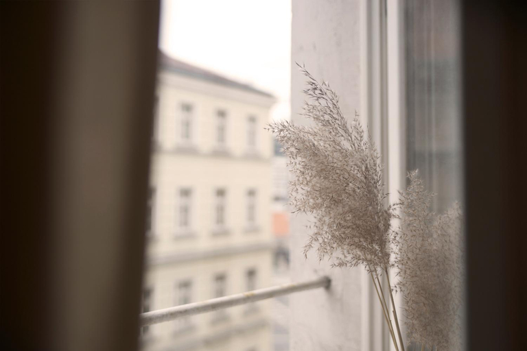 Others 3, By the River and City Center - comfortable rooms, Środa Śląska