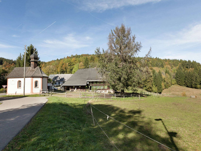 Exterior & Views, Ferienhaus in Wittenschwand, Waldshut