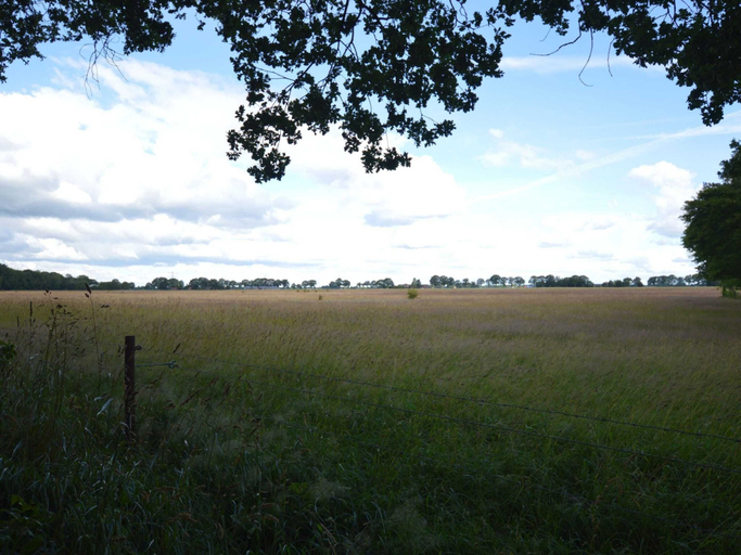 View from property 5, Holiday Home in Lemele Near Nature Reserve, Ommen