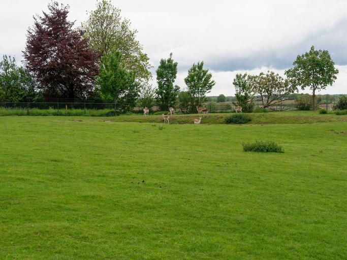 View from property 2, Pet-friendly Country Escape, Voerendaal