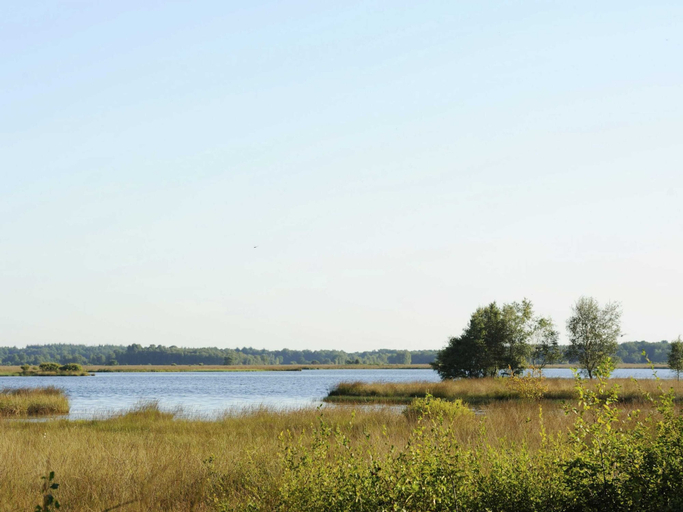 View from property 5, Holiday Park Escape in Drenthe, Westerveld