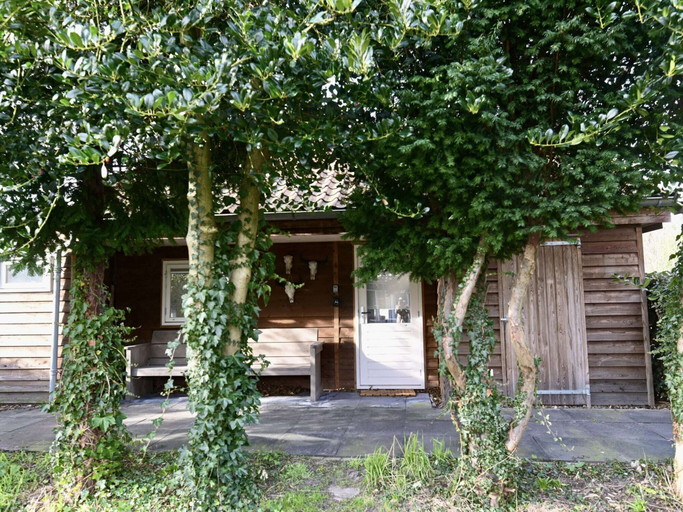 Primary image