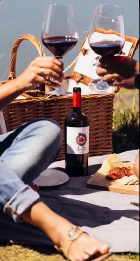 Food & Drinks 5, La Sirca Wine Cabins, Cardenal Caro