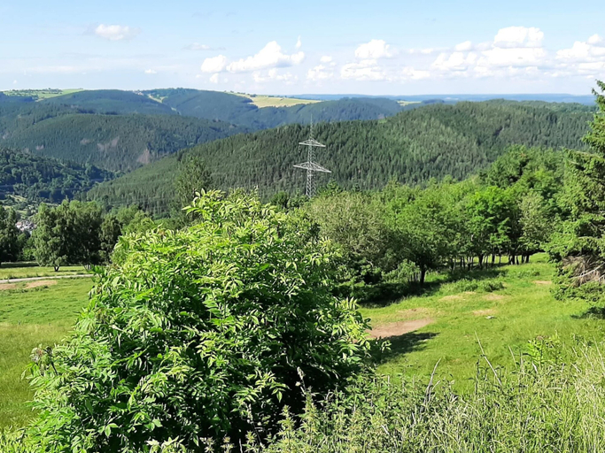 View from property 5, Cosy Holiday Home Near the ski Lift, Ilm-Kreis