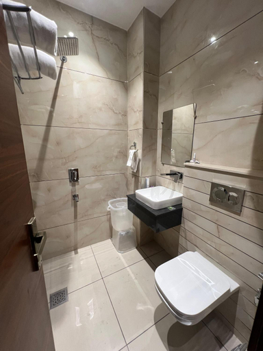Bathroom 3, Festive heritage, Amritsar