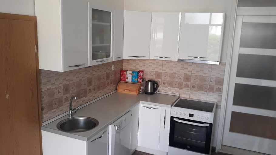 Others 3, Vaso & Viktor Apartment