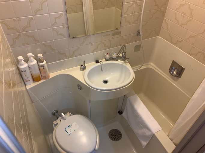 Bathroom 4, Wakayama Green Hotel, Wakayama