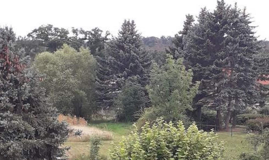 Others 5, Beautiful Apartment in Blankenburg With Sauna, Harz