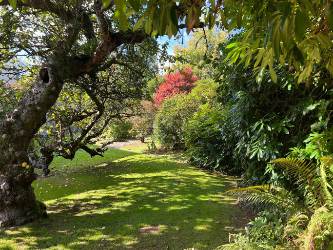 Others 4, Moorswater Lodge, Cornwall
