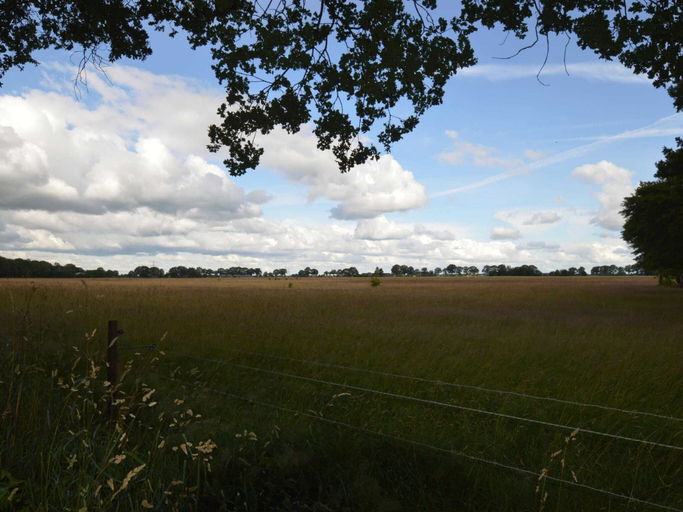 View from property 3, Holiday Home in Lemele Near Nature Reserve, Ommen