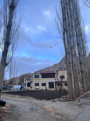 Exterior & Views 1, Trinity Home Stay, Leh