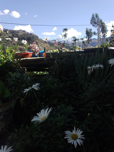 Others, Tina's Mountain House, Asunción