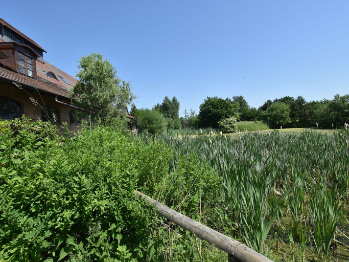 Garden 2, Rustic-style Apartment in Buschenhagen With Garden, Vorpommern-Rügen