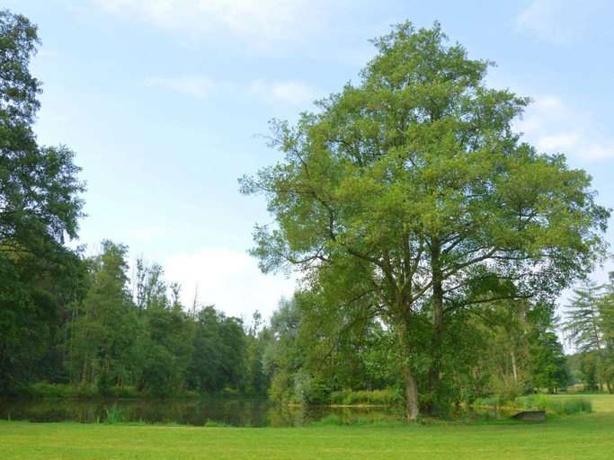Garden 4, Luxurious castle in Marchin with infrared sauna, Liège