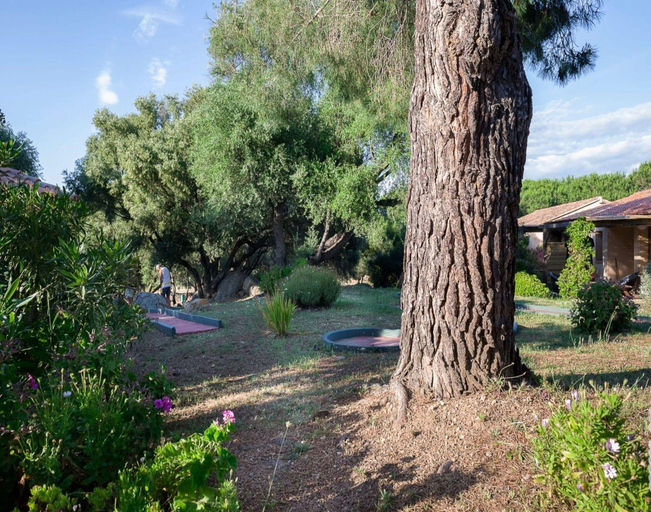 View from property 4, Residence Alba Rossa, Serra-di-ferro, Accommodation With Terrace or Balcony, Corse-du-Sud
