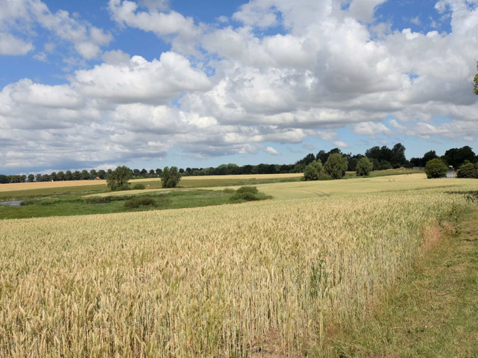 View from property 4, Peaceful Apartment in Maltzien With Lake Nearby, Vorpommern-Rügen