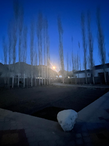 Others 3, Trinity Home Stay, Leh