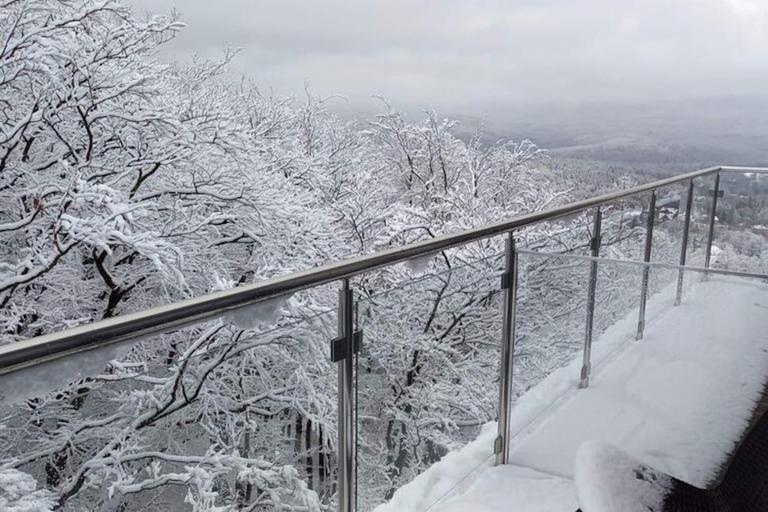 View from property 4, Apartment in Szklarska Poreba With Mountains View, Jelenia Góra