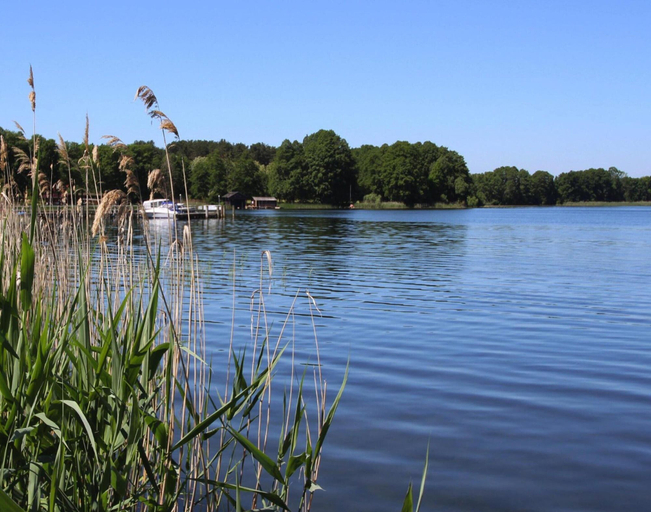 View from property 3, Holiday House at the Vilzsee, Mirow, Mecklenburgische Seenplatte