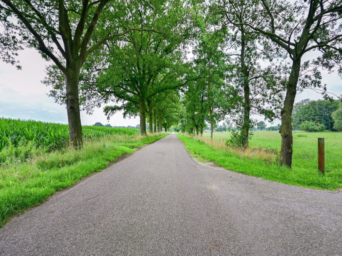 View from property 3, Farmhouse in De Heurne Near the Forest, Dinxperlo