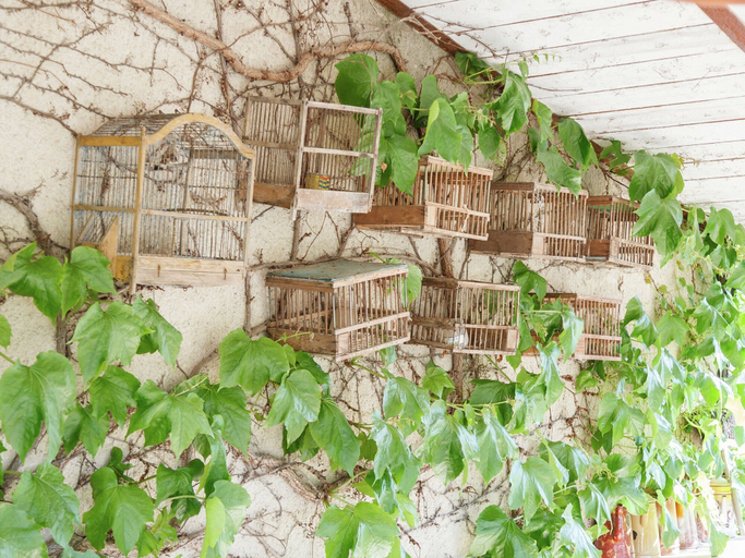 Others 2, Cottage in Oppede amidst Vineyards, Vaucluse
