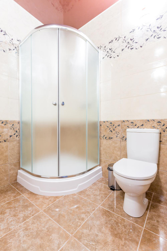Bathroom 2, Hotel Premier, Petrykivs'kyi
