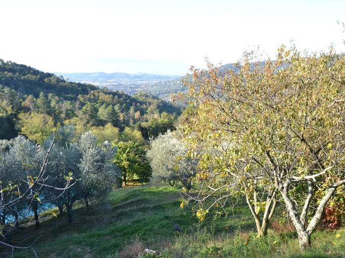View from property 4, Spectacular Holiday Home in Pescia With Swimming Pool, Pistoia