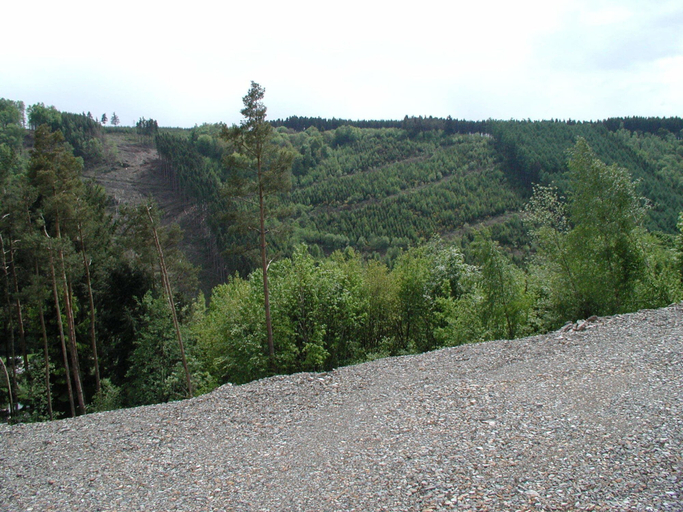Others 5, Holiday Home in La Roche with Sauna  Games, Luxembourg