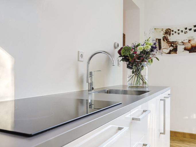 Private kitchen 4, Furnished Chalet With Dishwasher, Near Almelo, Wierden