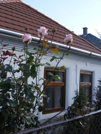 Others 4, Tokaj Hill Panorama Guesthouse, Szerencs