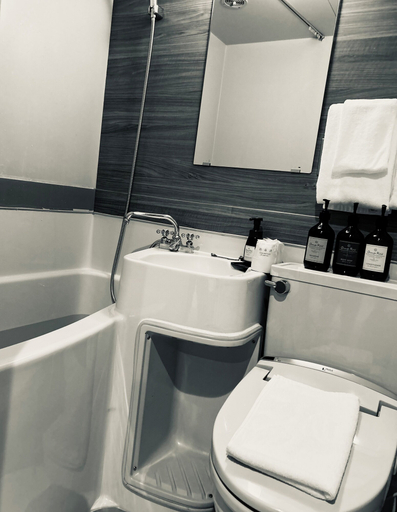 Bathroom 2, HOTEL LiVEMAX Umeda Central, Osaka