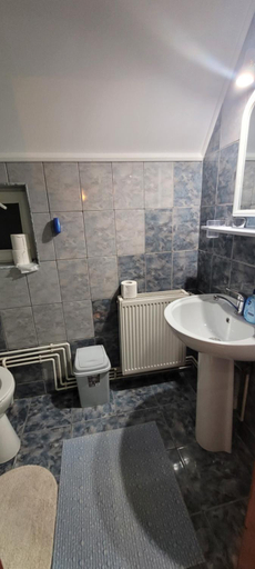 Others 4, Pensiunea Casa Ady, Bran