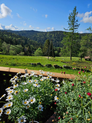 Others 3, Chalet Perle des Hauts, Vosges