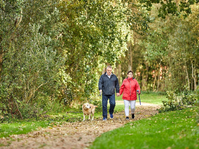 Pet-friendly, Cozy Holiday Home With a Dishwasher, in Zeeland, Borsele