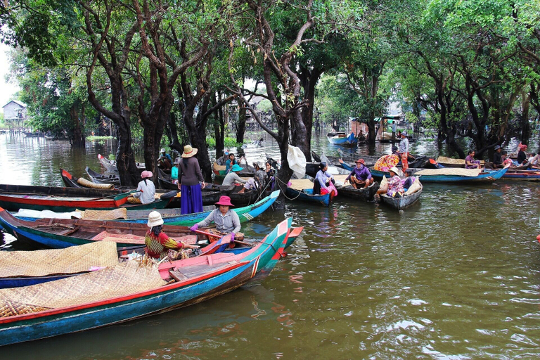 Others 5, Tiny Home, Siem Reap