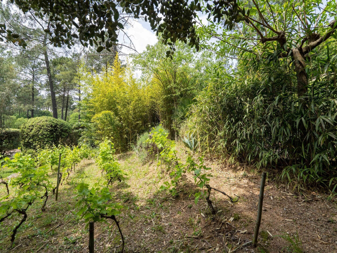 Garden 3, Serene Holiday Home in Les Salelles With Swimming Pool, Ardèche