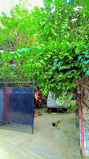 Others 4, Aliza Villa Homestay, Kamrup
