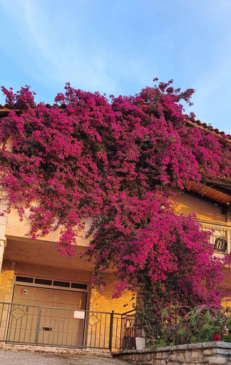 2, AGAPI Holiday House, Ionian Islands