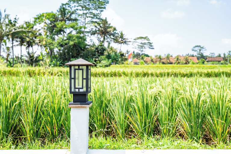 Others 4, Aura Apartments Ubud, Gianyar