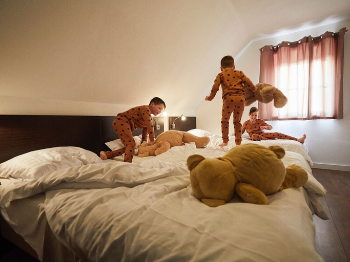 Room 2, Nice Villa With Sauna, Whirlpool & Steam Shower, Roggel en Neer