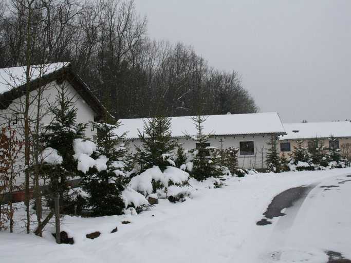 View from property 3, Detached Bungalow With Dishwasher, in a Green Area, Vulkaneifel