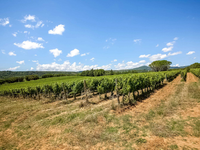 Others 2, Farmhouse in Montescudaio With a Shared Pool Near sea & Park, Pisa