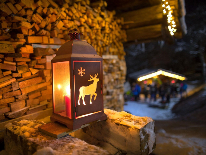 Food & Drinks 4, Chalet in Neukirchen by the Ski Area, Zell am See